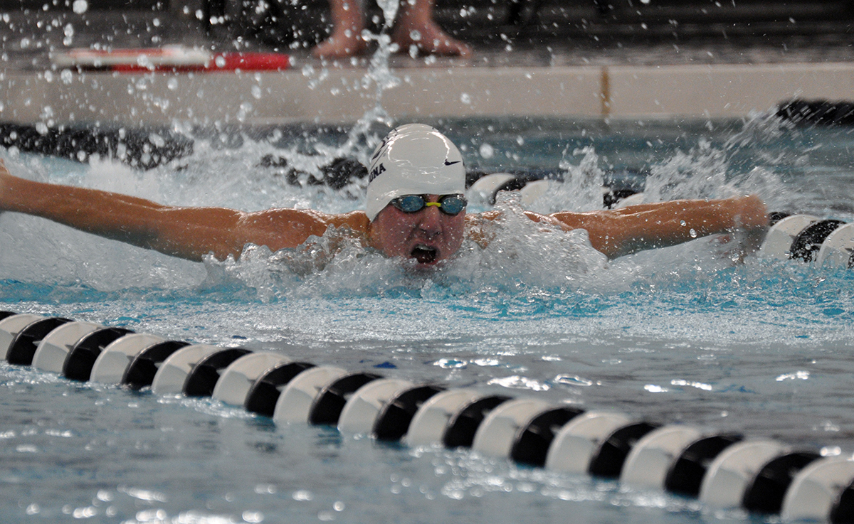 Men’s Swimming Downed by Alfred State