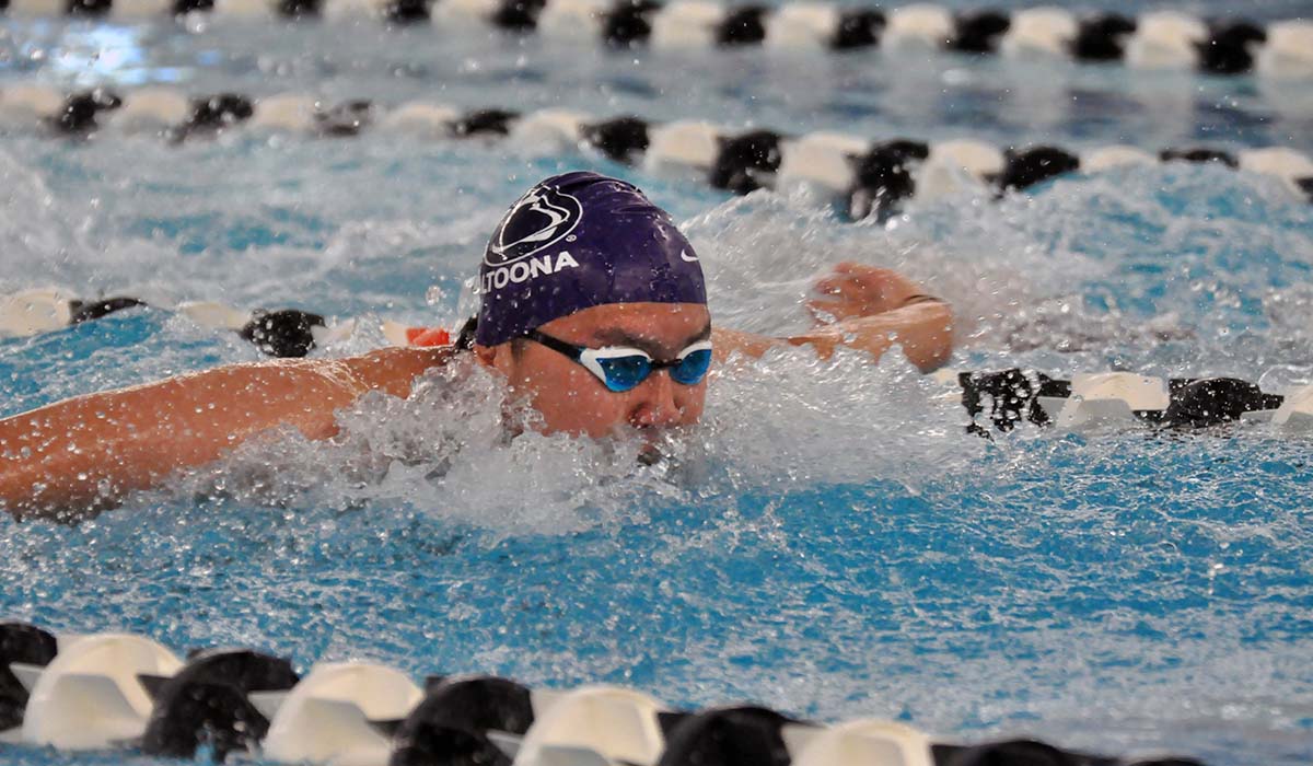 Photo: Freshman Laurence Wang swims the butterfly during Saturday's dual meet with Penn State Behrend.